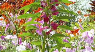 Гостиница Самоцветы Коктебель-6